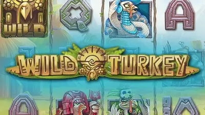 wild turkey